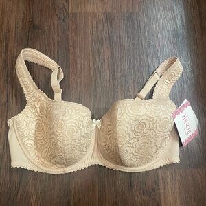 Rosme Latvia Beige Balconette Underwire Bra Padded Size 36DD Floral Lace NWT